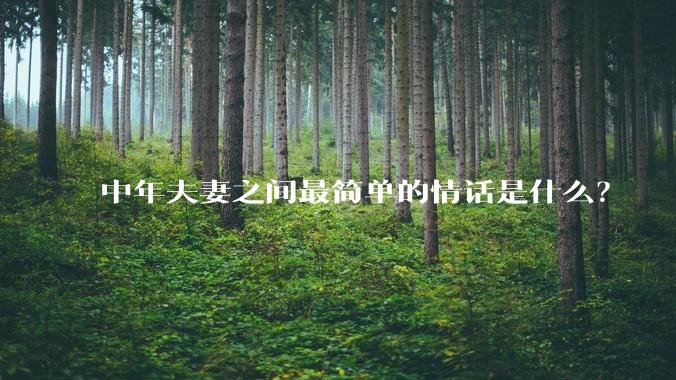 中年夫妻之间最简单的情话是什么？